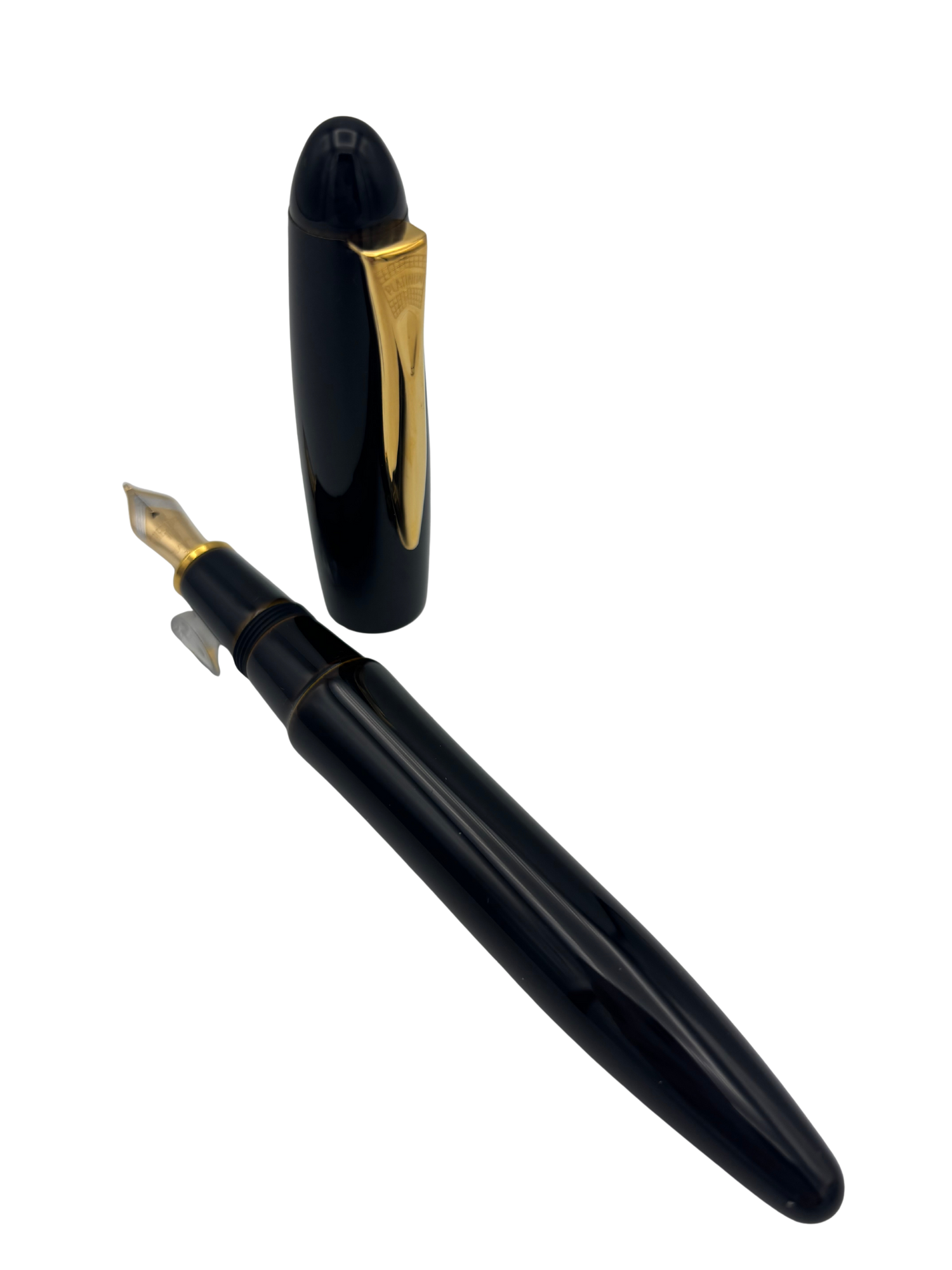 Platinum Izumo Biwatame Urushi - 18k Course Nib