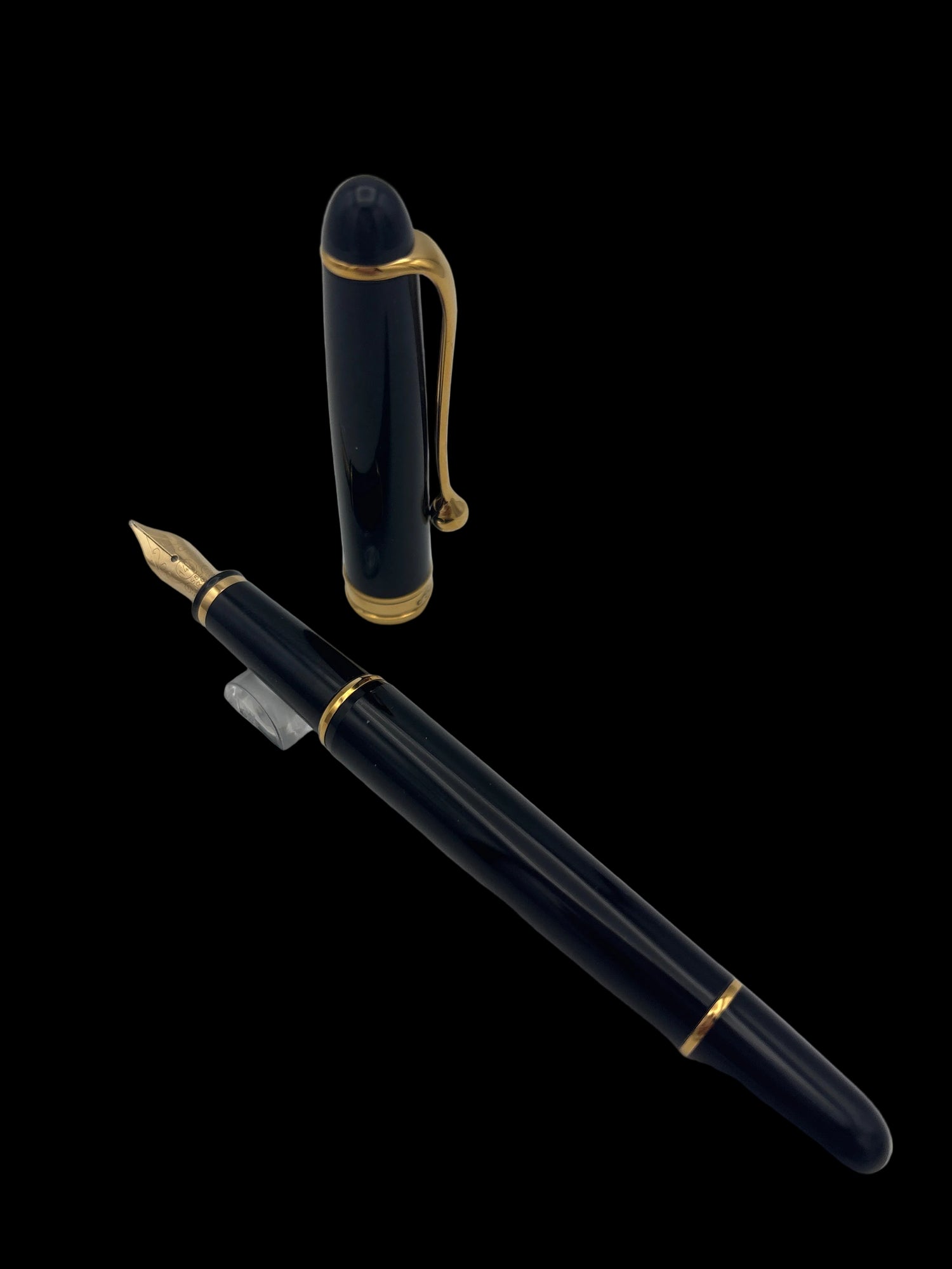 Aurora Ipsilon Resin Black - Medium Nib