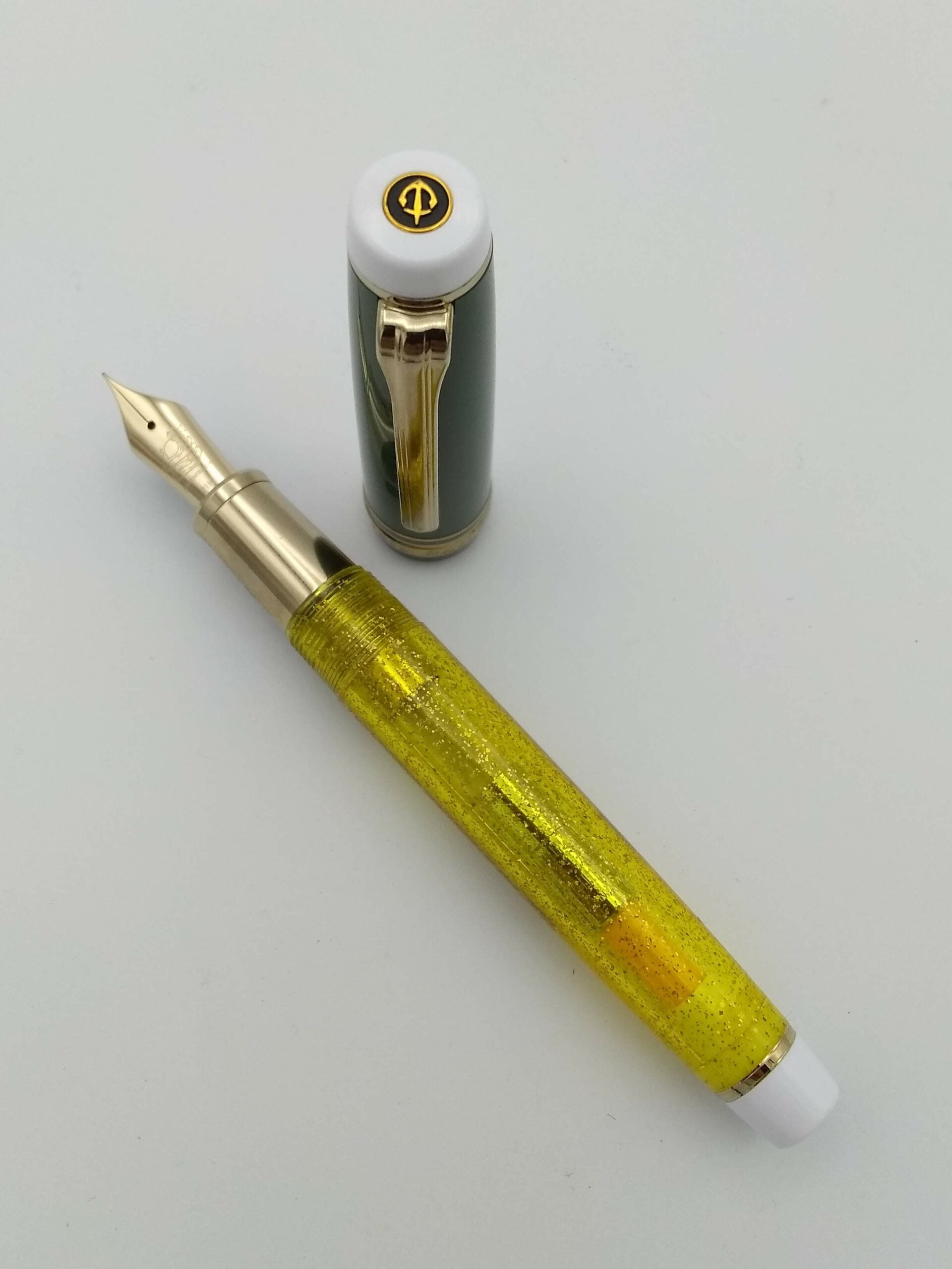 Sailor x Maruzen Nihombashi Pro Gear Shishikura 