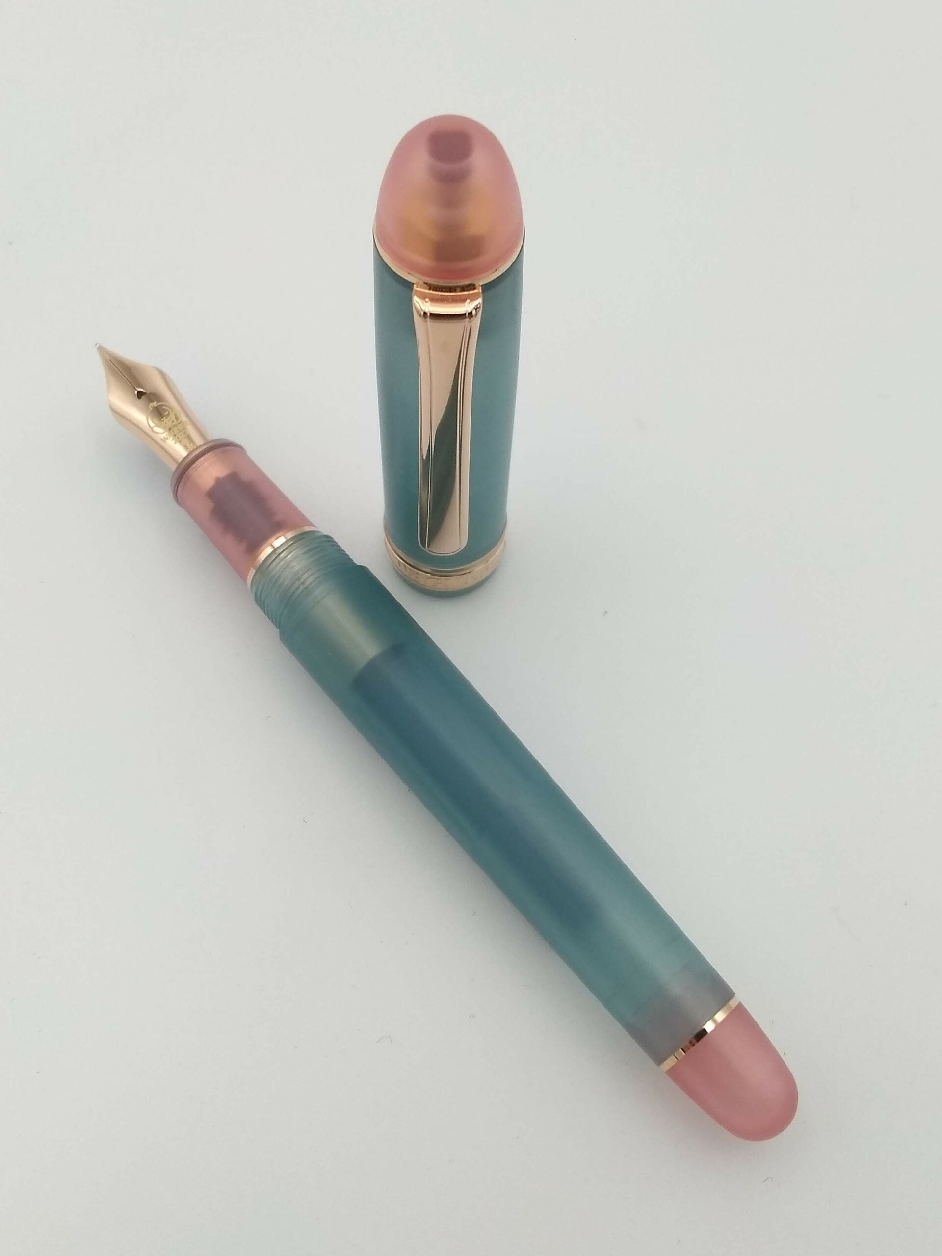 Platinum #3776 Wagner 2023 Holland Lop Edition - 14k Medium Nib