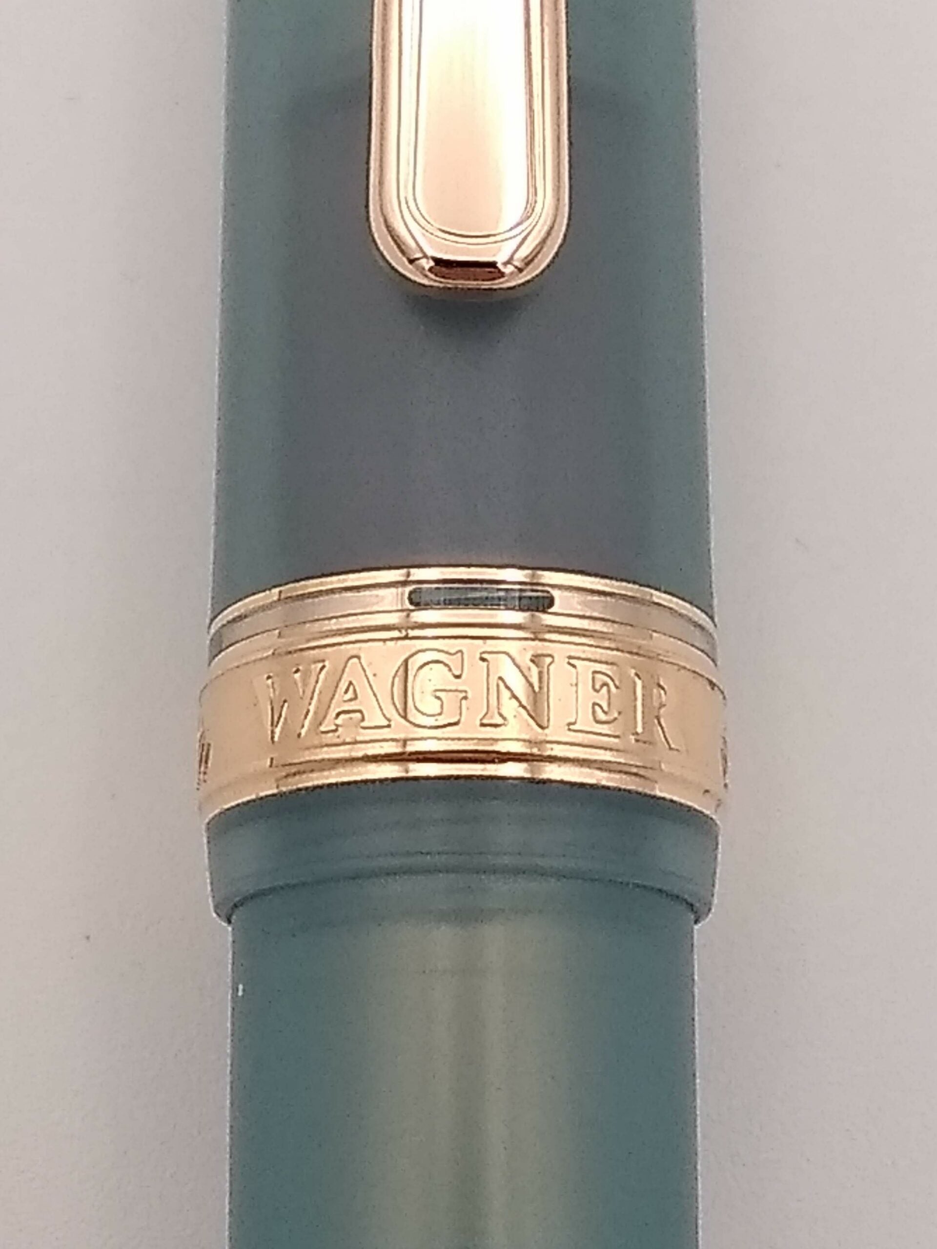 Platinum #3776 Wagner 2023 Holland Lop Edition - 14k Medium Nib