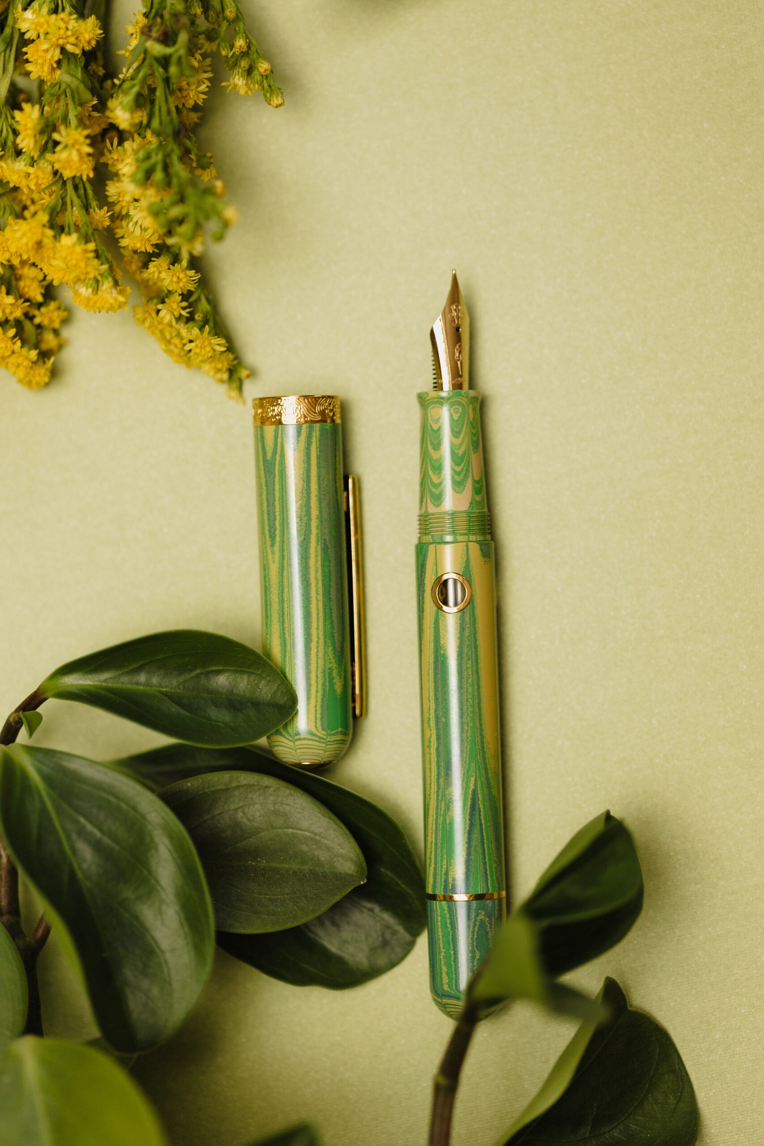 Nahvalur Nautilus Spring